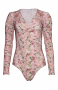 1613-rosa