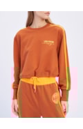 502ml000287-1